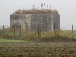 Ligne Maginot - BEF 513 - PONT d'OR Sud (Blockhaus pour arme infanterie) - Blockhaus visible de la D 955 - Rue de Lille.