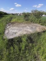 Ligne Maginot - BLEILACH 1 - (Blockhaus pour arme infanterie) - En grande partie enfoui, il y a vraisemblablement un grand créneau sous les ronces, à droite de l'image, mais pas d'entrée repérée.