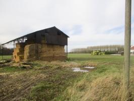 Ligne Maginot - BEF 636 - GRIS-MASSART (Blockhaus pour canon) - Blockhaus situé dans son environnement.