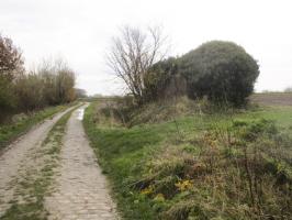 Ligne Maginot - BEF 676 - PONT CAILLOU SUD - (Blockhaus pour arme infanterie) - Blockhaus situé dans son environnement.