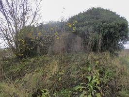 Ligne Maginot - BEF 676 - PONT CAILLOU SUD - (Blockhaus pour arme infanterie) - 