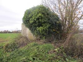 Ligne Maginot - BEF 676 - PONT CAILLOU SUD - (Blockhaus pour arme infanterie) - 