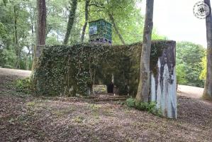 Ligne Maginot - CB274 - SAINTE MARIE 2 - (Blockhaus pour canon) - 