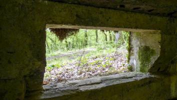 Ligne Maginot - CB274 - SAINTE MARIE 2 - (Blockhaus pour canon) - 