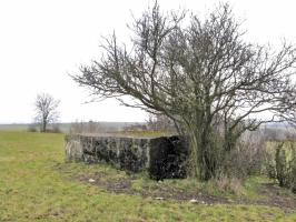 Ligne Maginot - ACHENER WEG 4 - (Blockhaus pour arme infanterie) - Vue générale