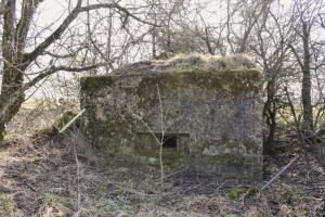 Ligne Maginot - BERSTERCH EST - (Blockhaus pour arme infanterie) - Façade de tir