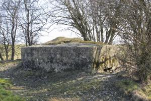 Ligne Maginot - BERSTERCH OUEST - (Blockhaus pour arme infanterie) - Façade de tir