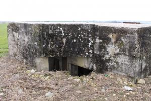 Ligne Maginot - BININGERWIESE 1 - (Blockhaus pour canon) - Les entrées