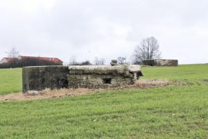 Ligne Maginot - BININGERWIESE 2 - (Blockhaus pour arme infanterie) - Vue générale