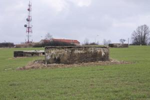 Ligne Maginot - BININGERWIESE 3 - (Blockhaus pour arme infanterie) - Vue générale