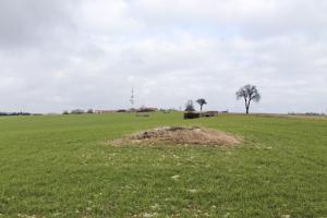 Ligne Maginot - BININGERWIESE 5 - (Abri) - Vue générale