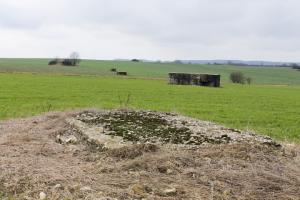 Ligne Maginot - BININGERWIESE 5 - (Abri) - L’abri