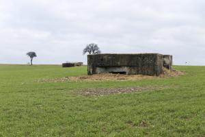 Ligne Maginot - BININGERWIESE 6 - (Blockhaus pour arme infanterie) - 