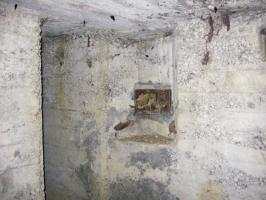 Ligne Maginot - BININGERWIESE 6 - (Blockhaus pour arme infanterie) - Le créneau Fusil Mitrailleur