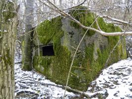 Ligne Maginot - DORFBRUNNEN SUD - (Blockhaus pour arme infanterie) - 