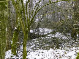 Ligne Maginot - DORFBRUNNEN SUD - (Blockhaus pour arme infanterie) - 