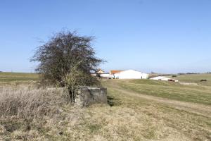 Ligne Maginot - BOMBACH 3 (Blockhaus pour arme infanterie) - Vue générale