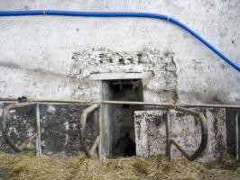 Ligne Maginot - BOMBACHERHOF 2 - (Blockhaus pour arme infanterie) - L’entrée
