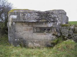 Ligne Maginot - BREITENWEG EST - (Blockhaus pour canon) - 
