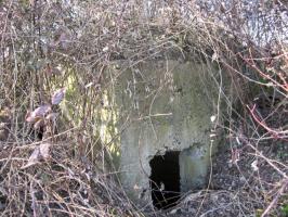 Ligne Maginot - DELLWIESE EST - (Blockhaus pour arme infanterie) - L’entrée