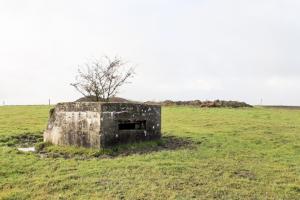 Ligne Maginot - DORFWIESE 1 - (Blockhaus pour arme infanterie) - Vue générale