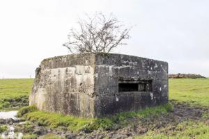 Ligne Maginot - DORFWIESE 1 - (Blockhaus pour arme infanterie) - Façade de tir