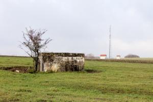 Ligne Maginot - DORFWIESE 1 - (Blockhaus pour arme infanterie) - Vue générale