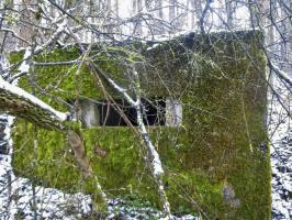 Ligne Maginot - DORFBRUNNEN CENTRE - (Blockhaus pour arme infanterie) - 