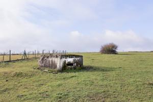 Ligne Maginot - DORFWIESE 2 - (Blockhaus pour arme infanterie) - Vue générale
