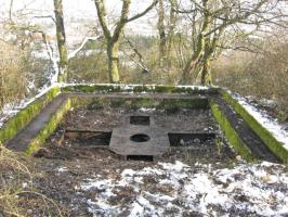 Ligne Maginot - DORFWIESE 3 - (Cuve pour canon) - Vue générale