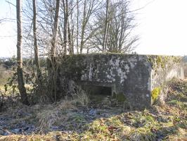 Ligne Maginot - DORFWIESE 5 (Blockhaus pour arme infanterie) - Vue générale
