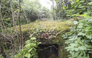 Ligne Maginot - ELSENBERG 6bis (Abri) - 
