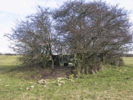Ligne Maginot - GAIKLINGEN OUEST - (Blockhaus pour arme infanterie) - Vue générale