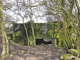 Ligne Maginot - GAIKLINGEN OUEST - (Blockhaus pour arme infanterie) - Façade de tir