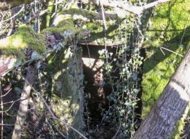 Ligne Maginot - GARTEN 2 - (Blockhaus pour arme infanterie) - L'entrée du blockhaus