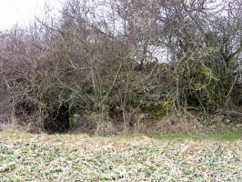 Ligne Maginot - GARTEN 5 - (Blockhaus pour arme infanterie) - Façade arriere