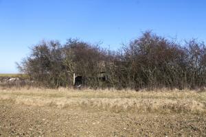 Ligne Maginot - GROSSFELD - (Blockhaus pour arme infanterie) - 