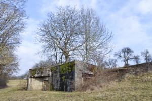 Ligne Maginot - GROS REDERCHING SUD (AVANT POSTE) - (Blockhaus pour arme infanterie) - Vue générale