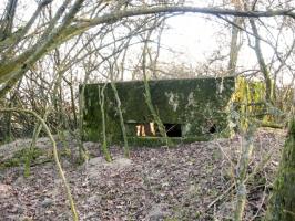 Ligne Maginot - GUCKENBERG 3 - (Blockhaus pour canon) - Façade de tir