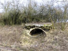 Ligne Maginot - HAMMELSWIESE 4 - (Abri) - Vue générale