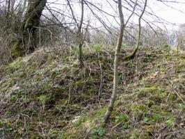 Ligne Maginot - HAMMELSWIESE 3 - (Blockhaus pour canon) - Nid de mitrailleuse
