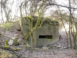 Ligne Maginot - HAMMELSWIESE 10 - (Blockhaus pour arme infanterie) - Façade de tir