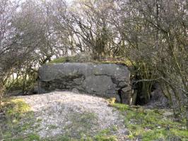 Ligne Maginot - HAMMELSWIESE 10 - (Blockhaus pour arme infanterie) - Façade arrière