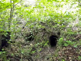 Ligne Maginot - VF60 - ANTENNE DE L'OUVRAGE DU FOUR-à-CHAUX - (RESEAU - Voie 60 - Antenne ou rocade ferroviaire) - 3 - PASSAGE SUR LE VERLORENERBACH
Le coté aval en l'état