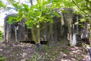 Ligne Maginot - B248 - MAISONS CATTEAU - (Blockhaus pour canon) - Deux des trois créneaux