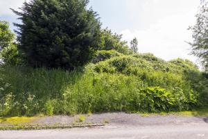 Ligne Maginot - B248 - MAISONS CATTEAU - (Blockhaus pour canon) - Coté arrière
Le blockhaus est construit sur une butte