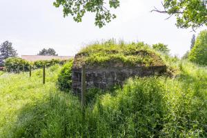 Ligne Maginot - BEF 725 - LE HALOT SUD - (Blockhaus pour arme infanterie) - Le blockhaus est partiellement remblayé