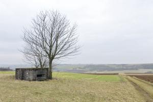 Ligne Maginot - HILLEN OUEST - (Blockhaus pour arme infanterie) - Vue générale