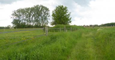 Ligne Maginot - 9 - (Chambre de coupure) - 