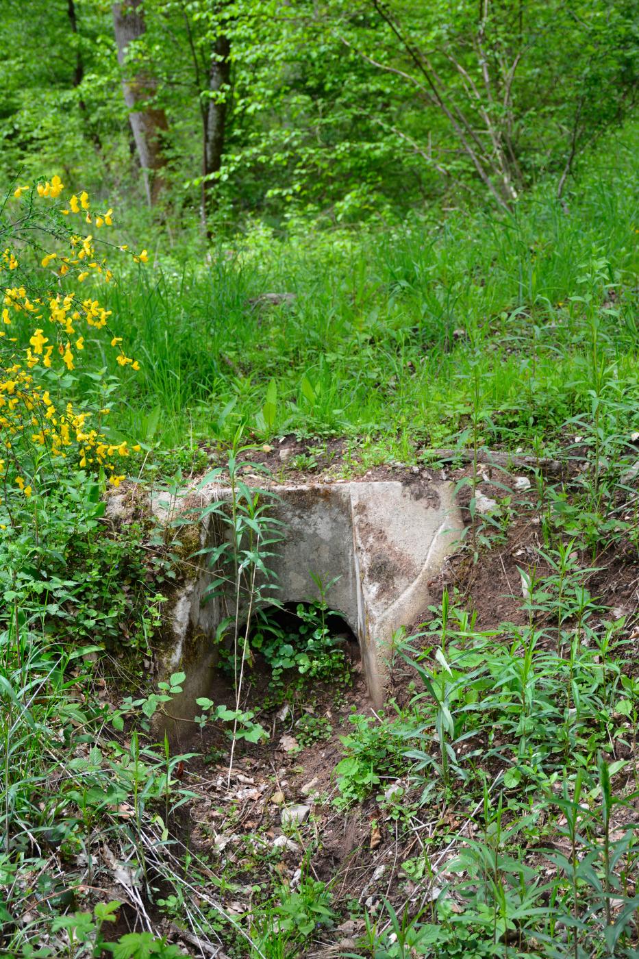 Ligne Maginot - VF60 - ANTENNE DE L'OUVRAGE DU HOCHWALD - (RESEAU - Voie 60 - Antenne ou rocade ferroviaire) - DRAINAGE 
Tout le long du tracé, des buses ont été mises en place afin de permettre l'écoulement de l'eau des fossés  traversant l'emprise de le voie.
Le plan de la réalisation est standard.